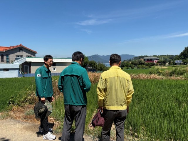 관련사진(거제시 폭염 대응 농업 현장 예찰 강화 농업인 농작업 자제 당부2).jpg