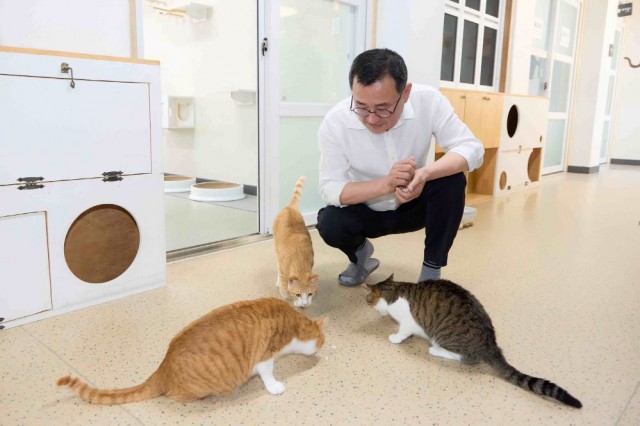 8. 10. - 제2회 통영 고양이섬의 날 축제 성황리 마무리 3.jpg